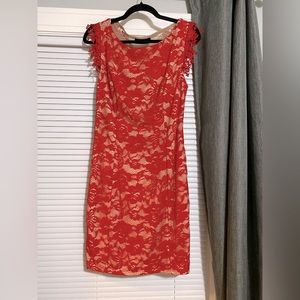 Francesca’s Dress Size Large